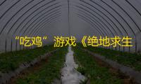 “吃鸡”游戏《绝地求生》持续火爆
�，多平台间展开“三国杀”